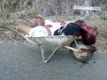 Murdered Cousin, Quartered and Transported Body in Wheelbarrow