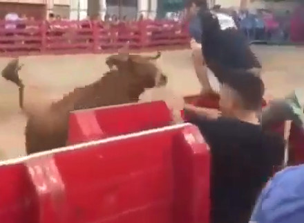 Bull Fucks Man's Day Up !