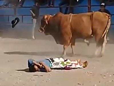 Crazy Bull Fucks Man's Day Up