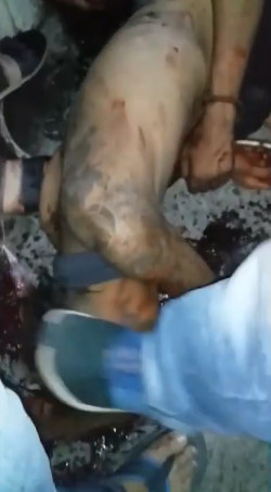 Big Trouble For Little Thieves