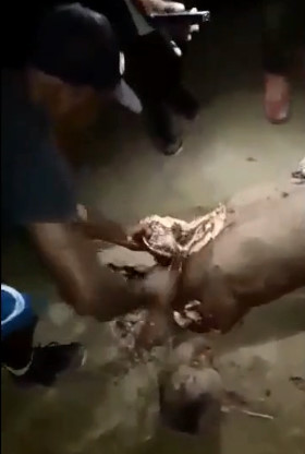 Gang Member Crudely Dismembered ,Beheaded and Disemboweled