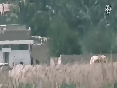 ISIS: show death soldiers