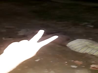 That Last Stone Killed Him