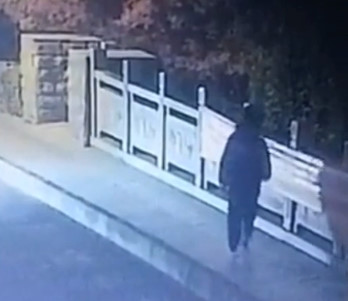 Suicidal Girl Takes the Bridge Route w/Aftermath