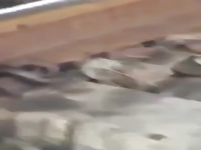 SUICIDE ON THE TRAIN TRACKS