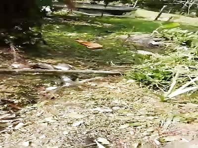 bodies and more dead bodies in the village