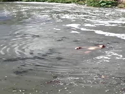 Woman tries to commit suicide, but is rescued