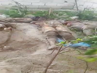 Inert bodies with signs of torture