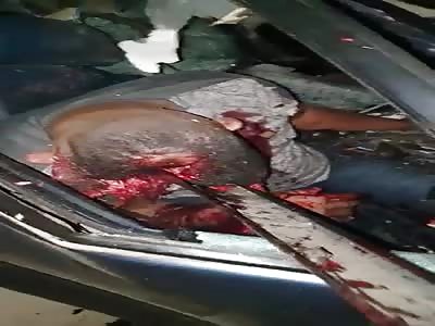 Their Brains are on the Outside Now