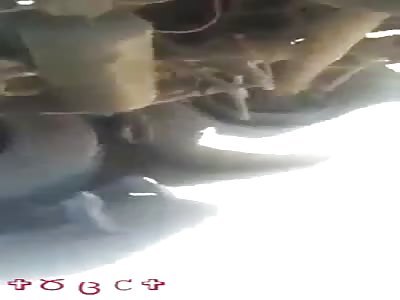 Driver dies crushed by his own truck