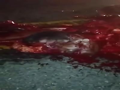 Motorcyclist Collides with Bus, Dies with Split Head and Part of Torso Ripped Off