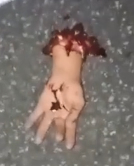 Motorcycle Driver Dismembered After Getting Ran Over By Speeding Truck In Brazil