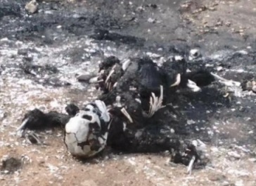 Colombia: Fuel Tanker Explosion in Pueblo Viejo Kills Seven (FULL VIDEO)