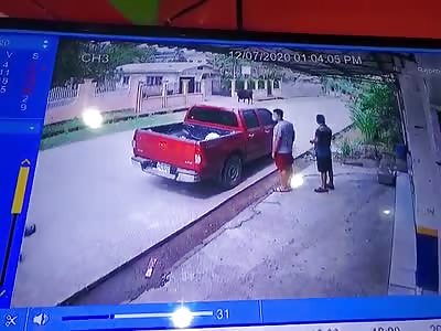 Out of Control Cow Lunges at the Woman