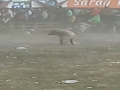 Man dies attacked by bull