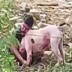 Man Gets Mauled By Own Pitbull