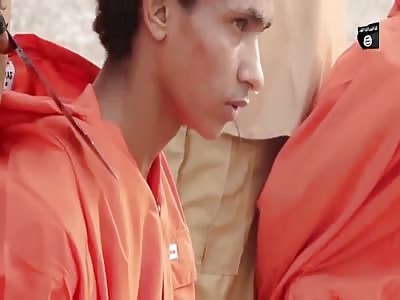 DFK present: the classic of the web