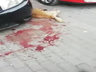 Someone dressed as Ð° 