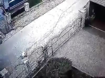 A tractor driver intentionally ran over a dog