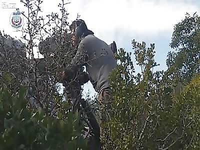 Sunni rebels TOW attacks against Assadi terrorists. Rif Lattakia. 02/15