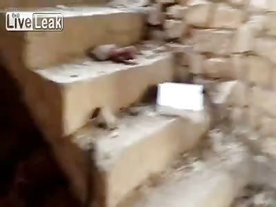  IRAQ - ISIS After Airstrikes in Khalidiya Island