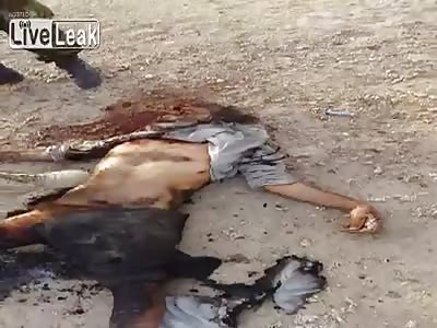  IRAQ - ISIS Eye To Eye