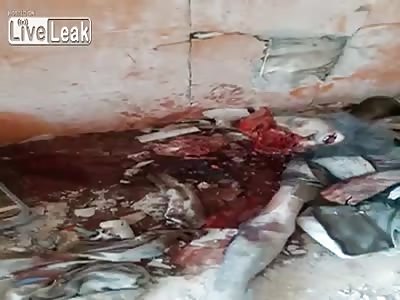  A Group Of ISIS Destroyed by Iraqi PMU