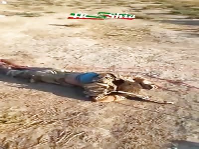 Human centipede, syria style