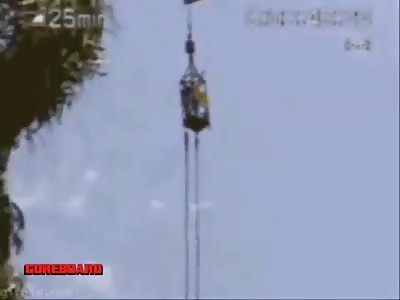 Animal Attack (compilation)