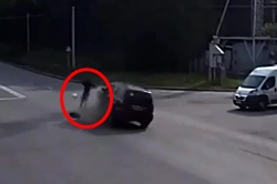 Fatal hit of a car and a motorcyclist in Novosibirsk 