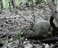 UA soldier shows 2 KIA ORCs that tried to storm his position