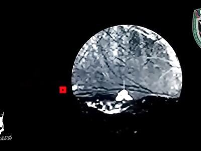 Destruction of AFU militants by snipers of the OBTF 