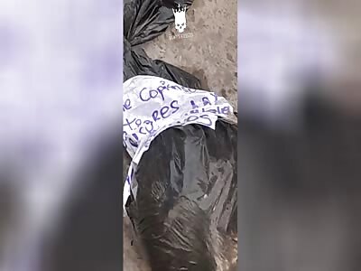 DISMEMBERED HEAD IN A BAG . LEFT AS A MESSAGE 