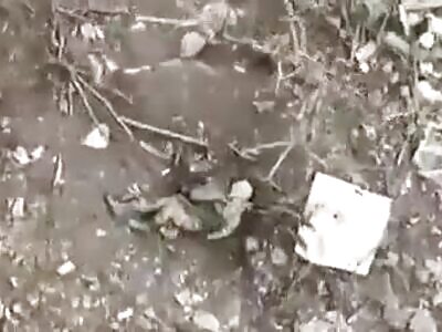 Just to make sure he is dead.