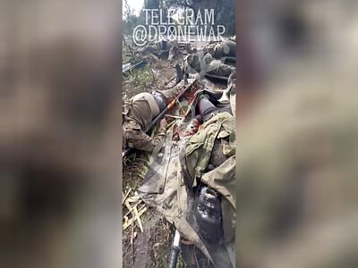 Cat eating someone's face