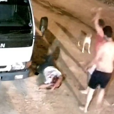 Even the Dogs Want You Dead In Paraguay