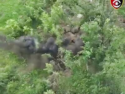 Russian trenches under tank and drone fire