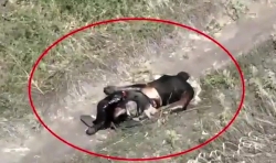 Bodies of fallen Ukrainian soldiers at Bakhmut front