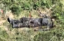 Destroyed RU BMP-2 and its dead crewmember near Makarivka