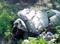 Something went Wrong  (full)