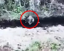 Drone Watches as Fellow Drone Eliminates Russian