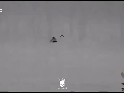 Video of the work of the Ukrainian sniper group