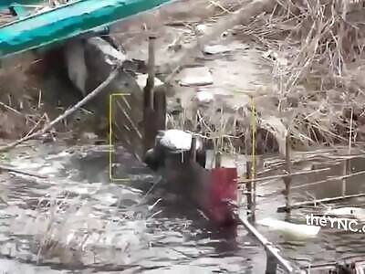 When WWF Hits Russian Advancement