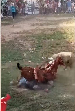 The bullfights in Colombia begin