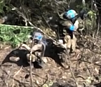 Ukrainians took over ORCs position, see ORCs KIA