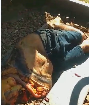 Suicide on the Train Tracks