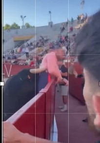 Bull parties end badly for some bastards spanish