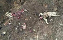 Assaulting Trench is Decimated by Enemy Artillery