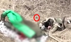 Damn: Bonk on the head