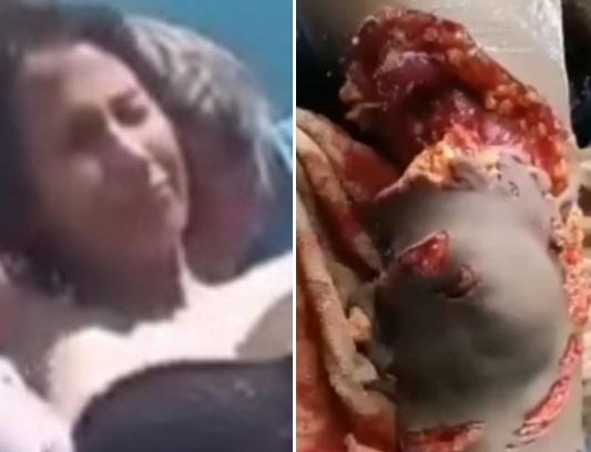 Close Encounter With A Shark